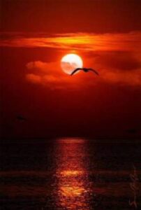 free psychic readings